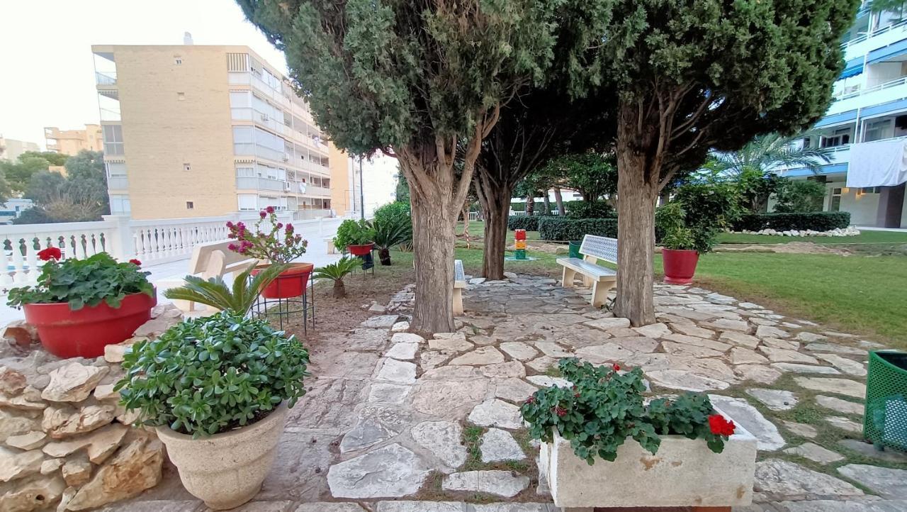 Holidays At My Spanish Grandma Alicante Buitenkant foto